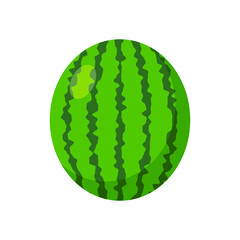 Watermelon Fruit Green Isolated Vector Illustration