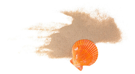 Sea shell in sand pile isolated on white, top view © dule964