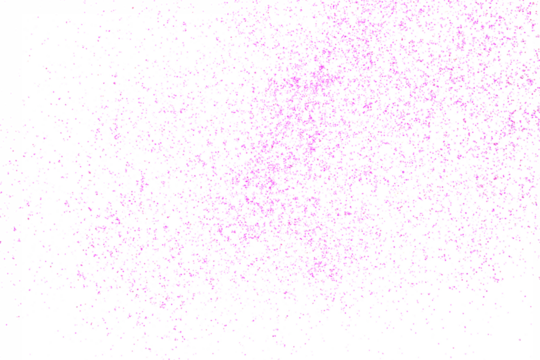 Pink glitter isolated on white background and texture 