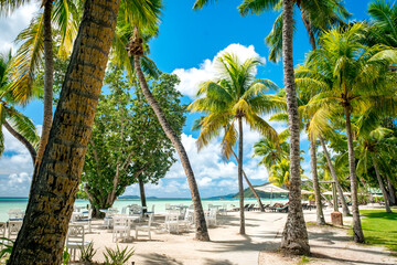 Tropical beach with palm trees, crystal water and white sand. most beautiful tropical beaches -...