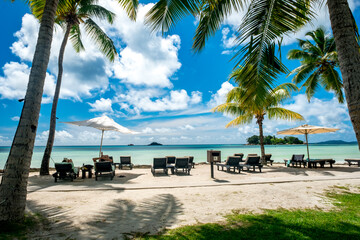 Tropical beach with palm trees, crystal water and white sand. most beautiful tropical beaches - Seychelles, Praslin island