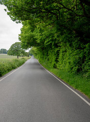 Fototapeta premium Empty asphalt two way road in the countryside with green trees. Nature rural landscape