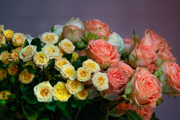 Bucket full of fresh roses