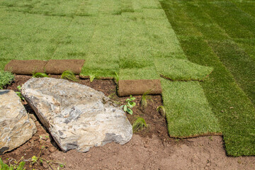 Landscaping - Recently laid rolled lawn, rolled turf, green yard