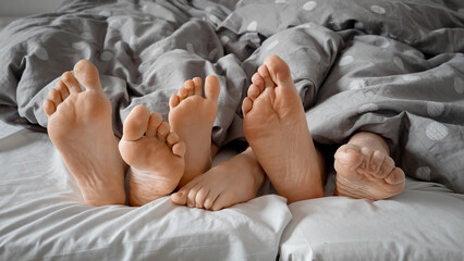 Closeup of parent's and child's feet showing from under the blanket on bed at morning. Concept of...