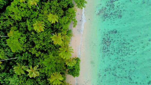 Aerial view of paradise beach