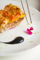 Emplatado / chef emplatando 