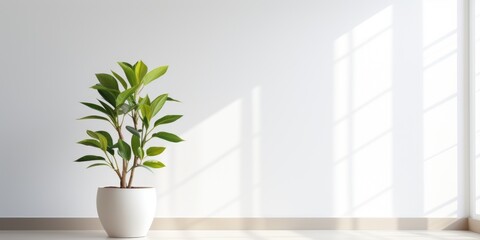 A plant in a white vase on a white floor. Generative AI.
