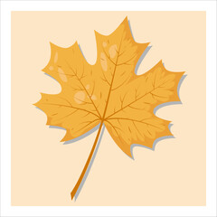 Autumn leaf, isolated on yellow background. Colorful orange autumn maple leaf. Fall design element. Objects for design, cards, banners, flyer, social media, web, decoration