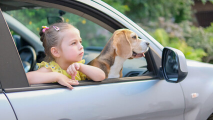 Vacations And Tourism Concept, Little girl and beagle dog in the rent car