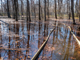 flooding in the county park at the beginning of spring