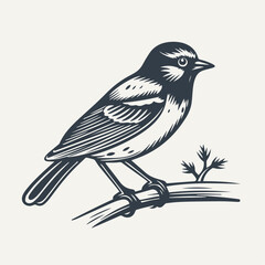 Bird standing on a branch. Vintage woodcut engraving style vector illustration.