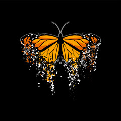 monarch butterflies with orange wings. isolated on black background