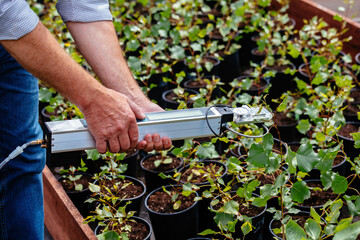 Scientist measuring plant photosynthesis by using portable device in plant nursery