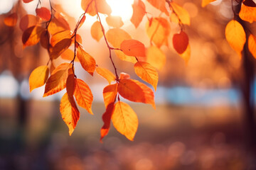 Naklejka na ściany i meble autumn colorful bright leaves spinning on the branch. Bokeh. Fall background. High quality photo
