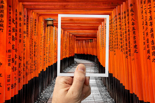 Hand holding up an instant photo picture of the Gate to heaven, Kyoto, Japan with the actual landscape in the background