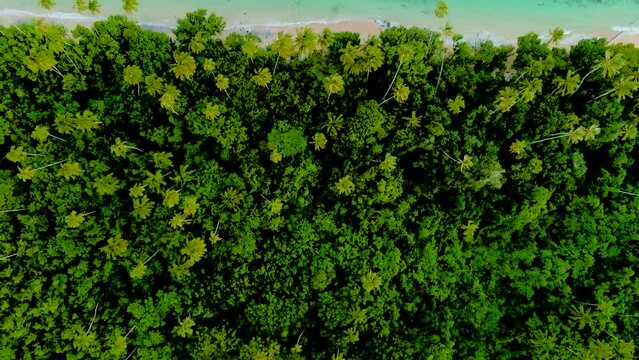 Tropical island perfect beach unspoilt south pacific 