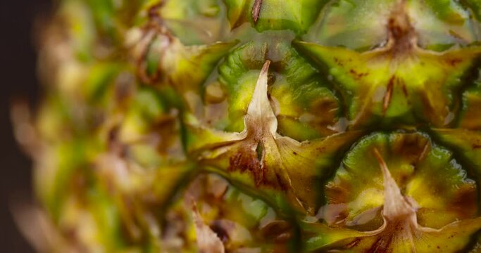 wet green-yellow peel of ripe pineapple close-up, peeled pineapple peel green and yellow