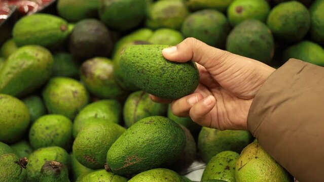 women hand selecting fresh avocado at shopping mall 