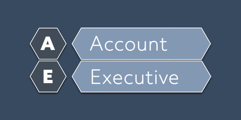 AE Account Executive. An Acronym Abbrevation of a term from the software industry. Illustration isolated on blue background.