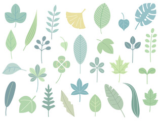クローバーや銀杏などのナチュラルな葉っぱのイラストのセット　淡い色バージョン