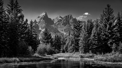 Black and White Landscape Photo of the view of the Grand Tetons from Schwabacher Landing in Grand Teton National Park, Wyoming, USA