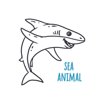 Cartoon shark isolate on white. Sea animal. Vector illustration 