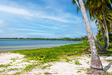 Playa Larga beach on the Zapata Peninsula in Cuba on a summer day - 625337460