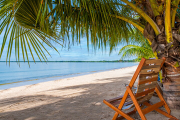 Chair and coconut palm at the Playa Larga beach in Cuba