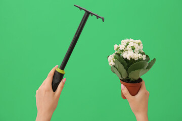 Woman with gardening rake and plant on green background