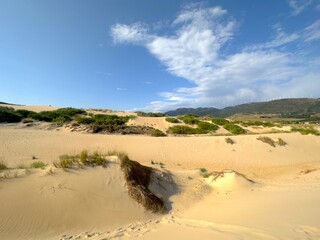 view of the high sand dunes of Valdevaqueros which are illuminated by the evening sun, Tarifa,...