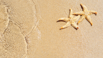 Fototapeta na wymiar Starfish and waves on the beach sand. Summer vacations background for travel agencies. Copy space.