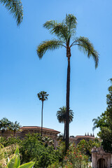 Balboa Park on a Midsummer Day