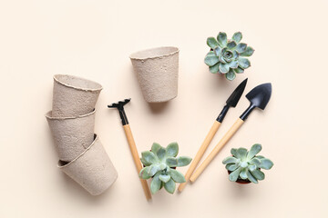 Gardening tools, peat pots and succulent plants on beige background