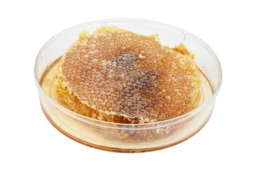 honeycomb in the package removed from the beehive