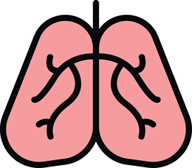 Human lungs icon outline vector. Diagnosis roentgen. Medicine hospital color flat