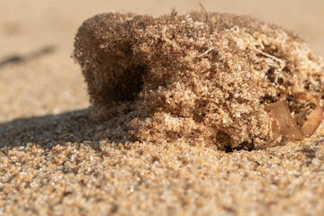 sand on the beach