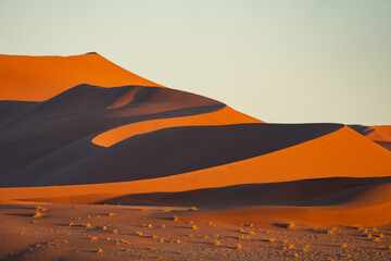 Fototapeta na wymiar Panoramic Image of Sussusvlei Dunes in Early Morning Light in Namibia Africa