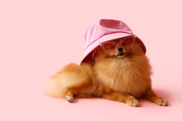Fototapeta na wymiar Cute Pomeranian dog in sunglasses and bucket hat on pink background