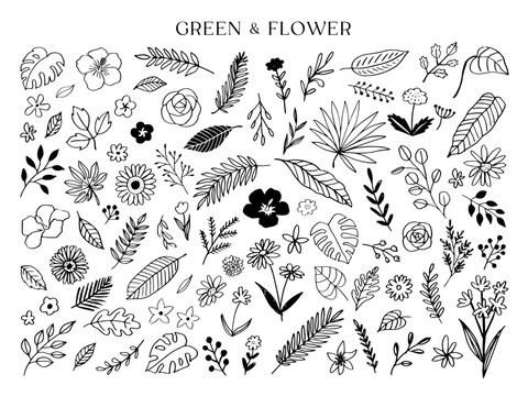 植物と花の線画イラストセット