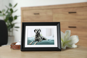 Pet funeral. Frame with picture of dog, collar, burning candle and lily flower on wooden table indoors