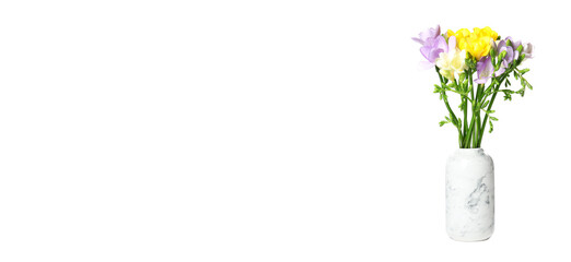 Stylish vase with beautiful freesia flowers on white background. Banner design