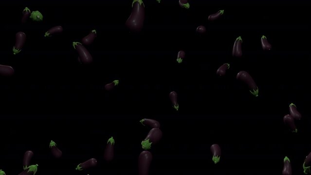 Eggplant falling animation with transparent (alpha) background