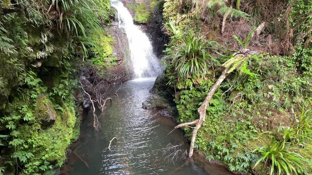 panorama of beautiful echo falls in lamington national park, queensland, australia; large and powerful hidden waterfall surrounded by lush vegetation in gondwana rainforest, albert river circuit