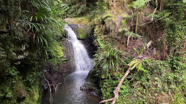 panorama of beautiful echo falls in lamington national park, queensland, australia; large and powerful hidden waterfall surrounded by lush vegetation in gondwana rainforest, albert river circuit