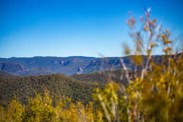 panorama of mountains of gold coast hinterland as seen from the top of pages pinnacle ridge;...