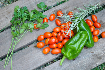 organic vegetables straight from the garden