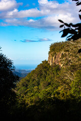 panorama of mountains in springbrook national park near gold coast, queensland, australia; famous canyon view from the top of mountain in gondwana rainforest