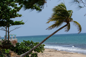 Beach along the coast in Puerto Rico