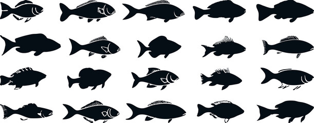 Naklejka premium sea fish silhouettes